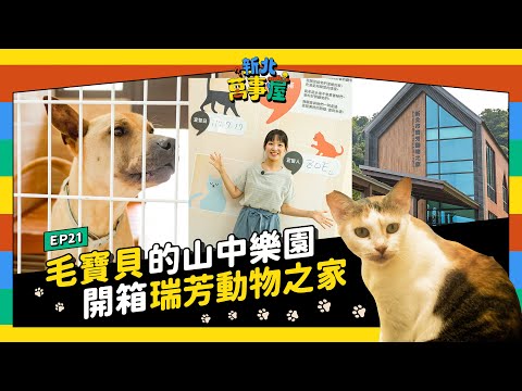 毛寶貝的山中樂園！開箱瑞芳動物之家！|【新北萬事屋】EP21