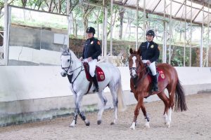 新北市政府警察局騎警隊是新北治安建構全方位防護網的一環，也是提升國際形象與促進警民關係的重要大使。