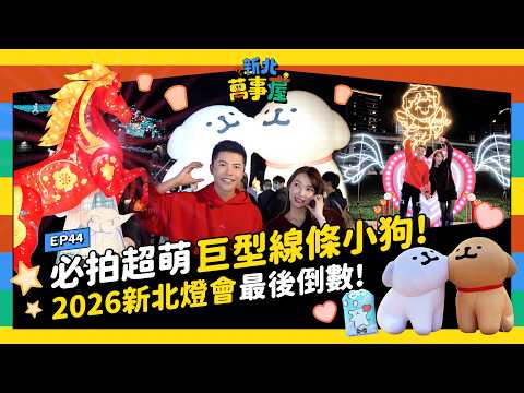 必拍超萌巨型線條小狗！2026新北燈會最後倒數！ |【新北萬事屋】EP44