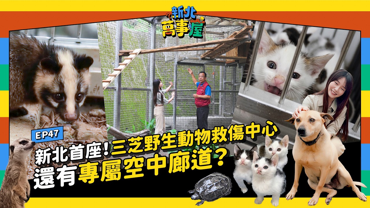 Today talk youtube channel