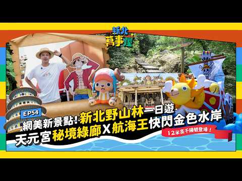 網美新景點！「新北野山林」一日遊！天元宮秘境綠廊 ✕ 航海王快閃金色水岸！ |【新北萬事屋】EP54